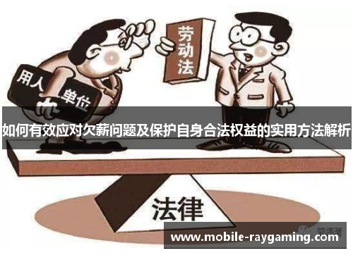 如何有效应对欠薪问题及保护自身合法权益的实用方法解析