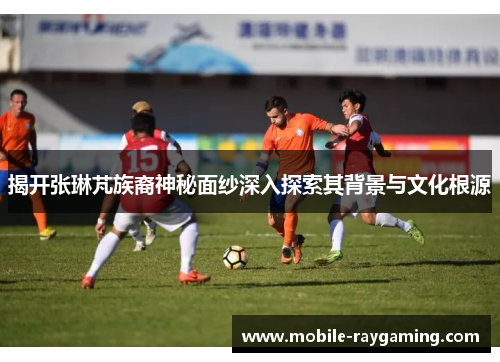 揭开张琳芃族裔神秘面纱深入探索其背景与文化根源