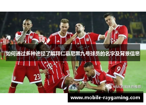 如何通过多种途径了解拜仁慕尼黑九号球员的名字及背景信息