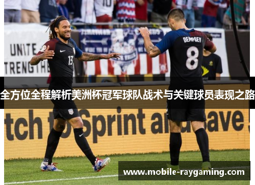 全方位全程解析美洲杯冠军球队战术与关键球员表现之路