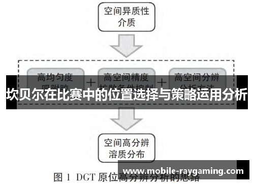 坎贝尔在比赛中的位置选择与策略运用分析