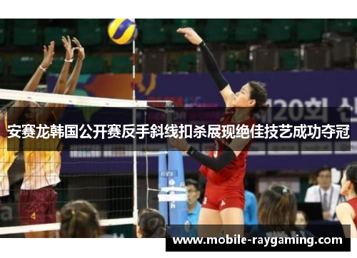 安赛龙韩国公开赛反手斜线扣杀展现绝佳技艺成功夺冠